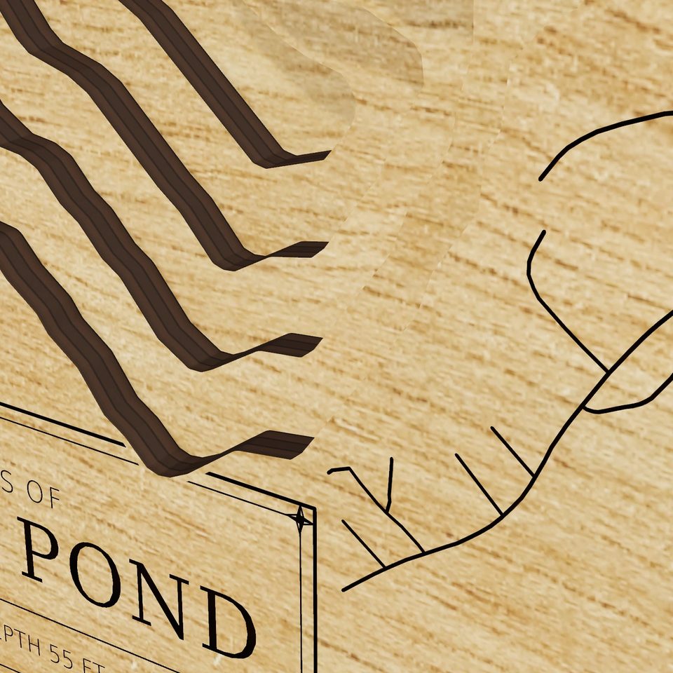 Square Pond 3D wood map, detail view
