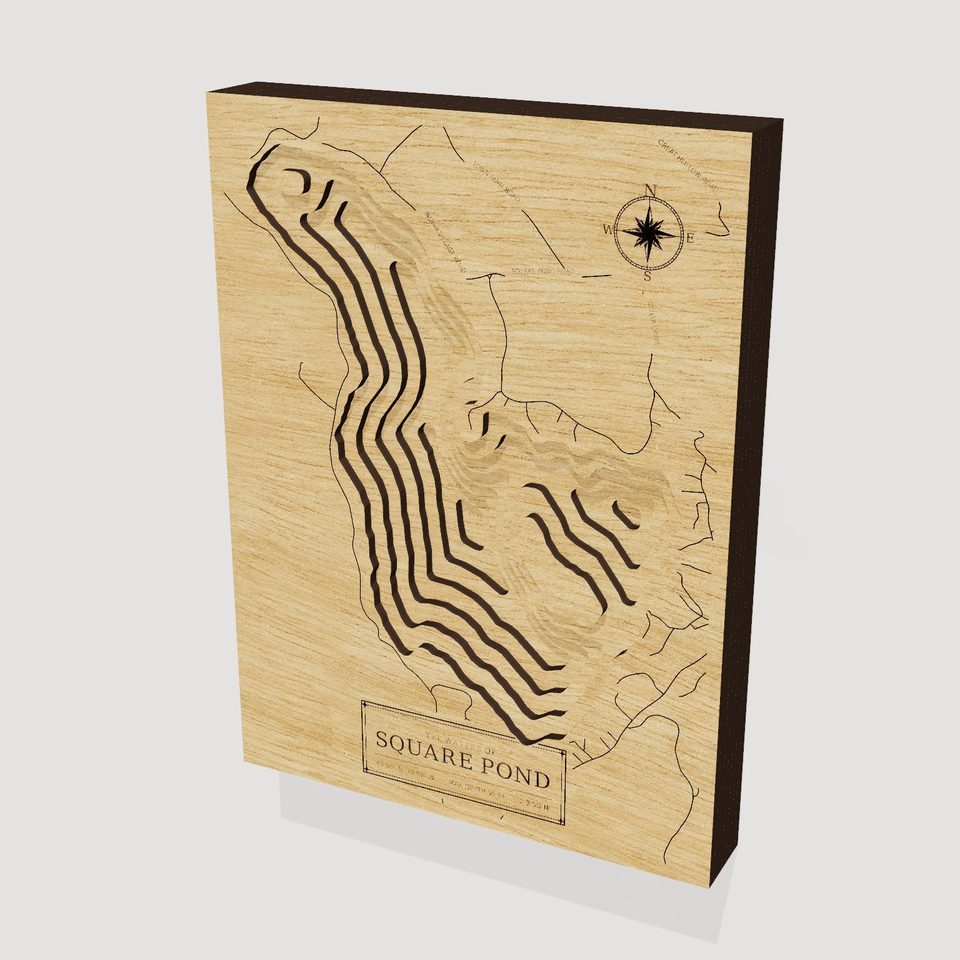 Square Pond 3D wood map, hero view
