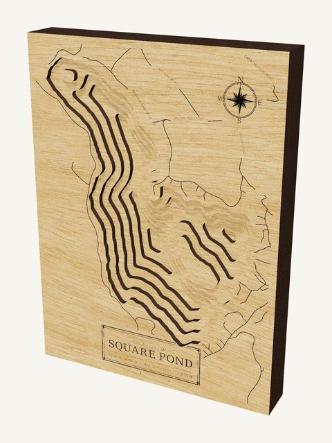 Square Pond wood map
