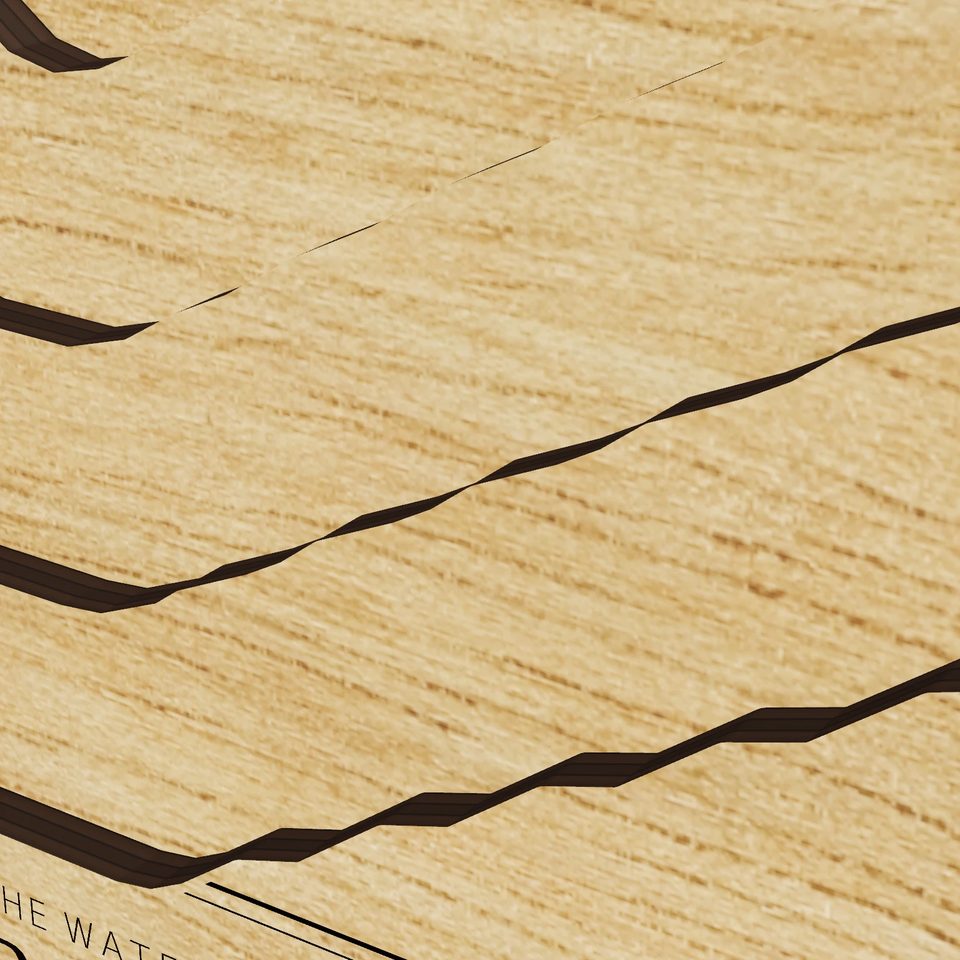 Starke Lake 3D wood map, detail view