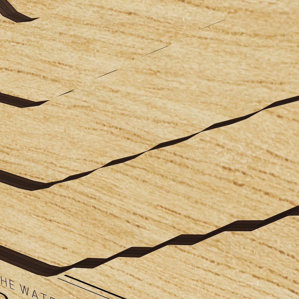 Starke Lake 3D wood map, detail view