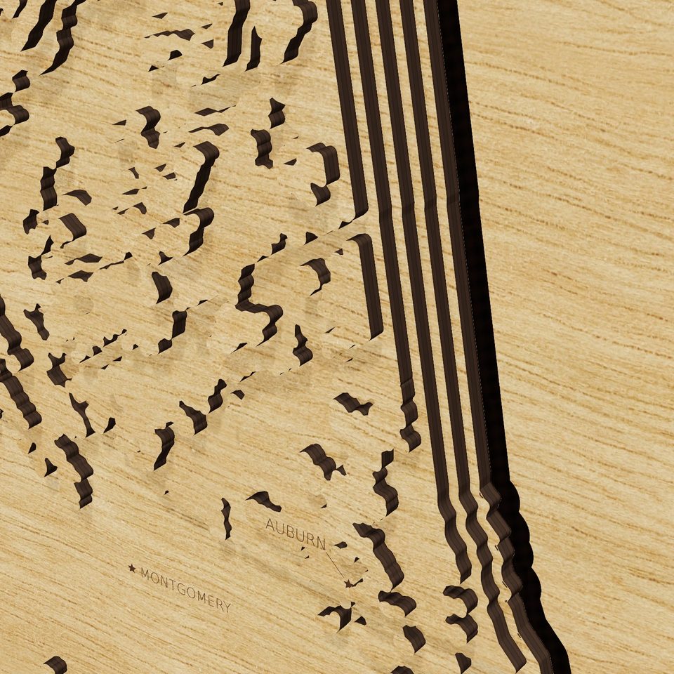 Alabama carved relief map, detail view