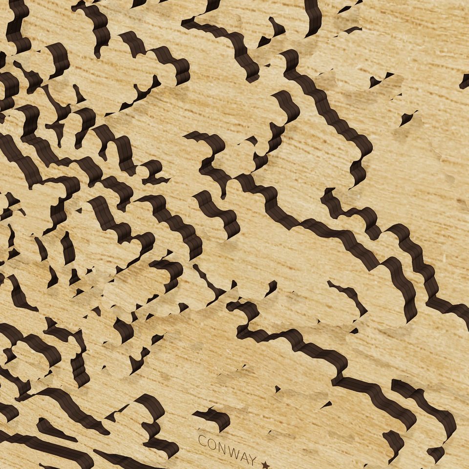 Arkansas carved relief map, detail view