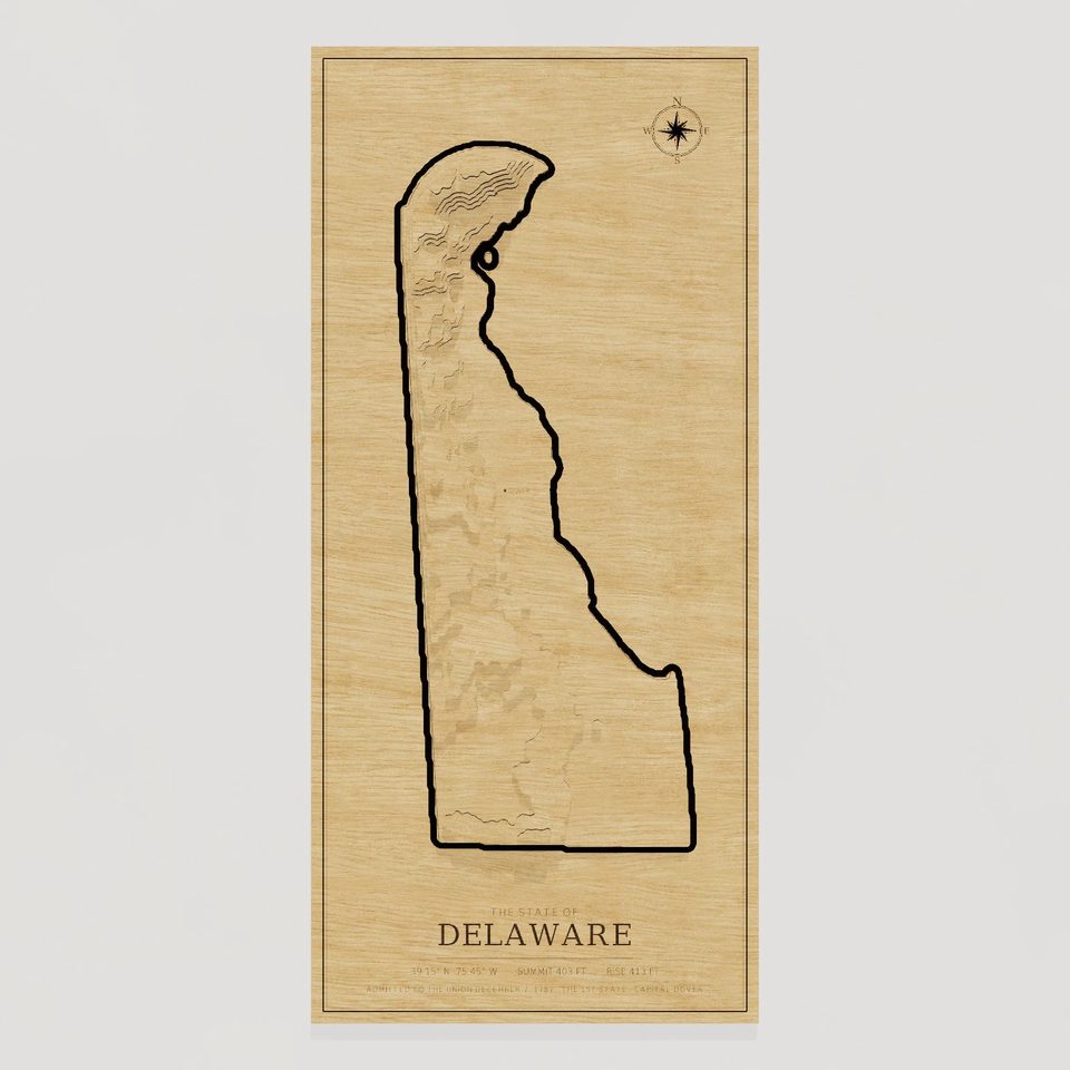 Delaware carved relief map, front view