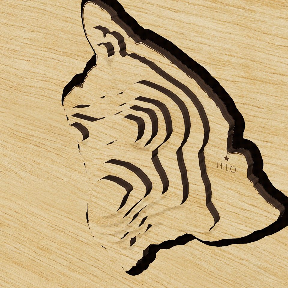 Hawaii carved relief map, detail view