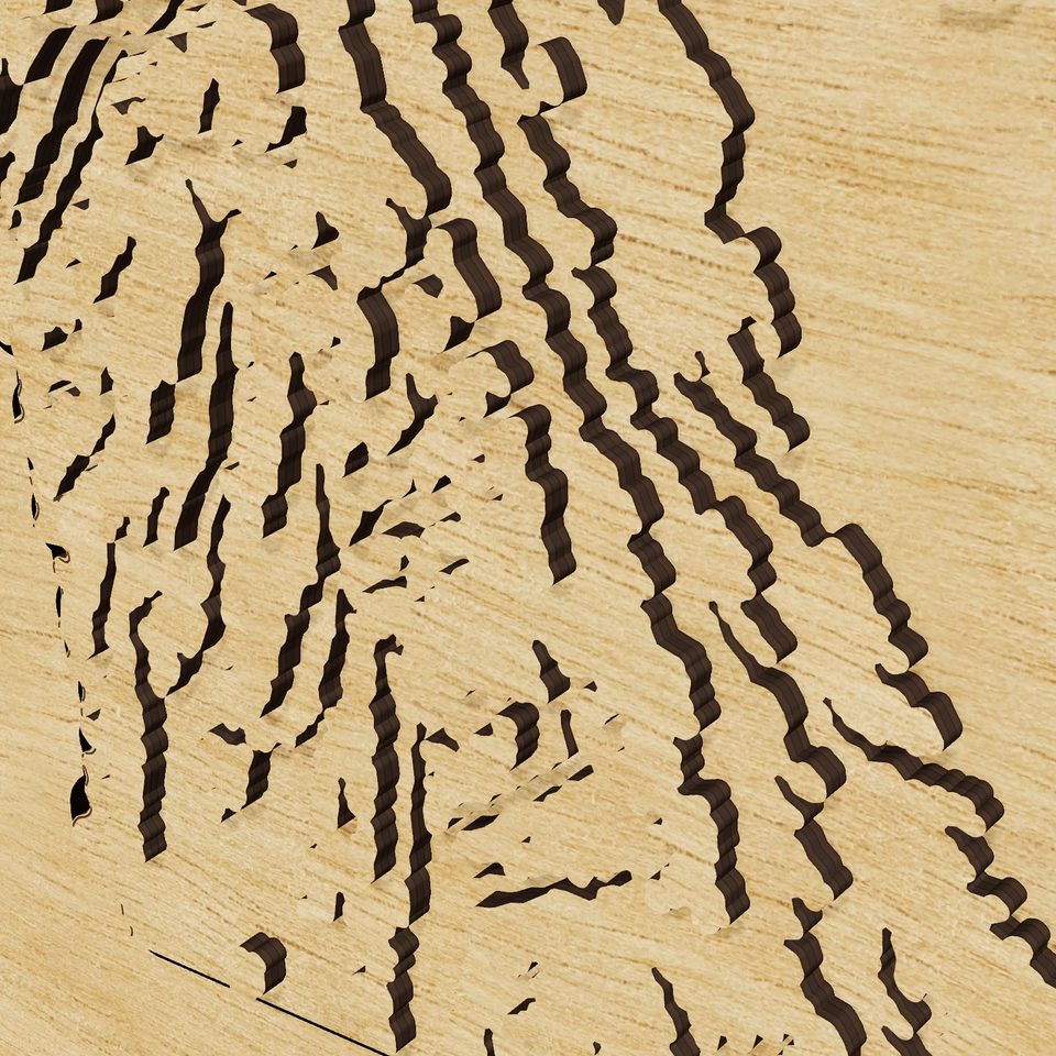 Iowa carved relief map, detail view