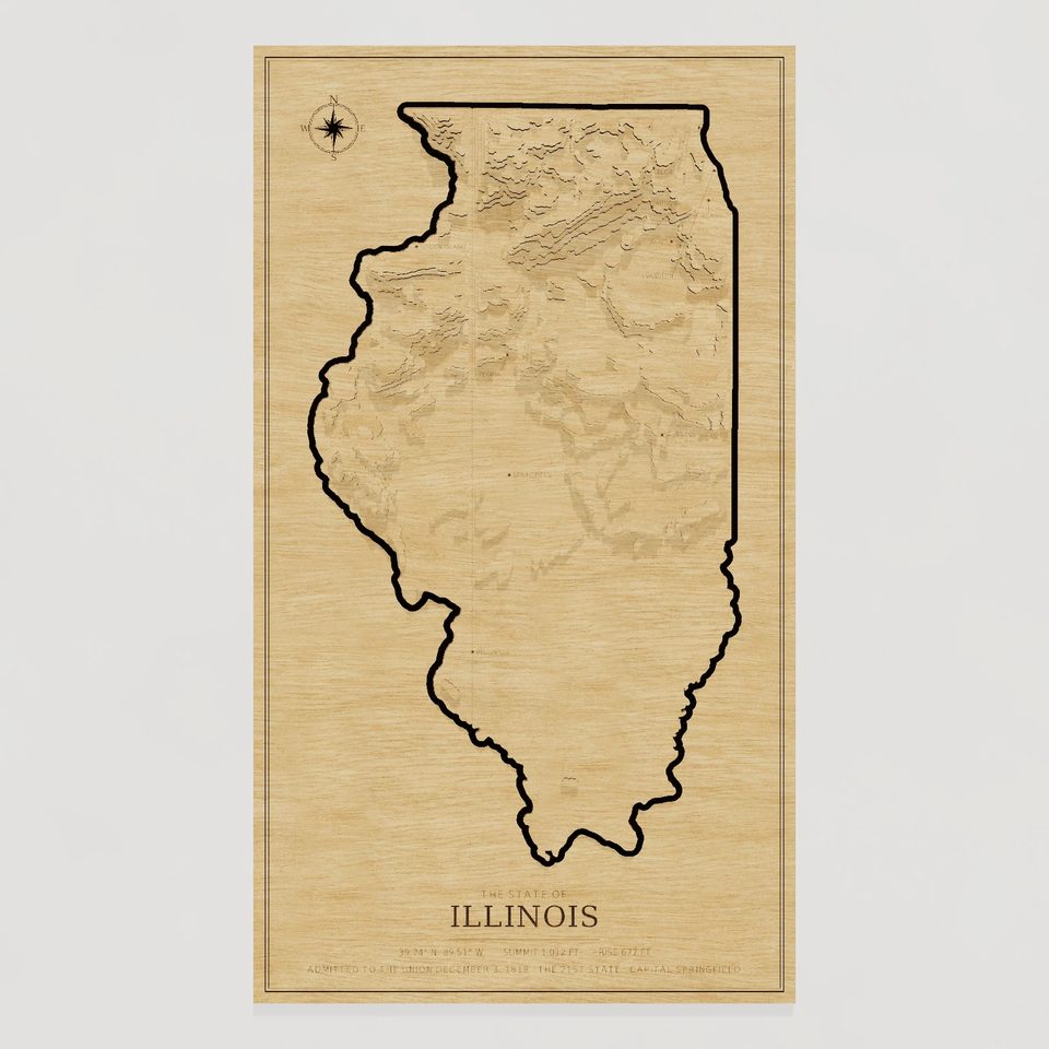 Illinois carved relief map, front view