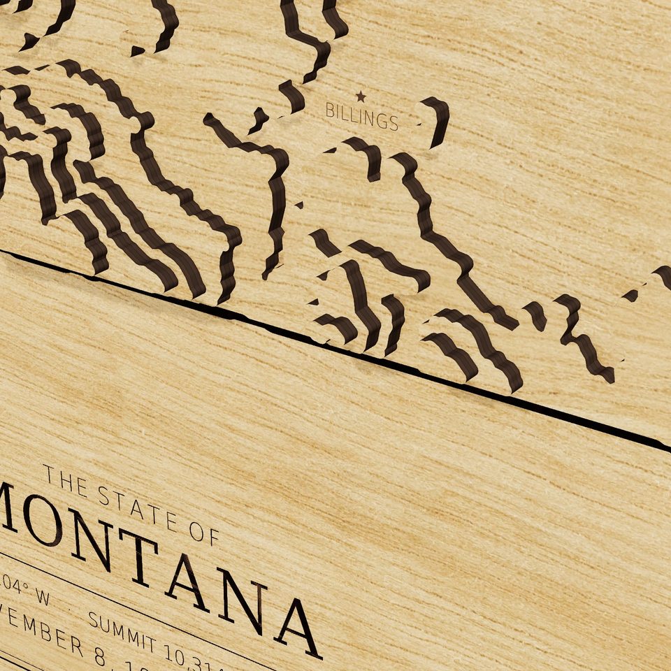 Montana carved relief map, detail view