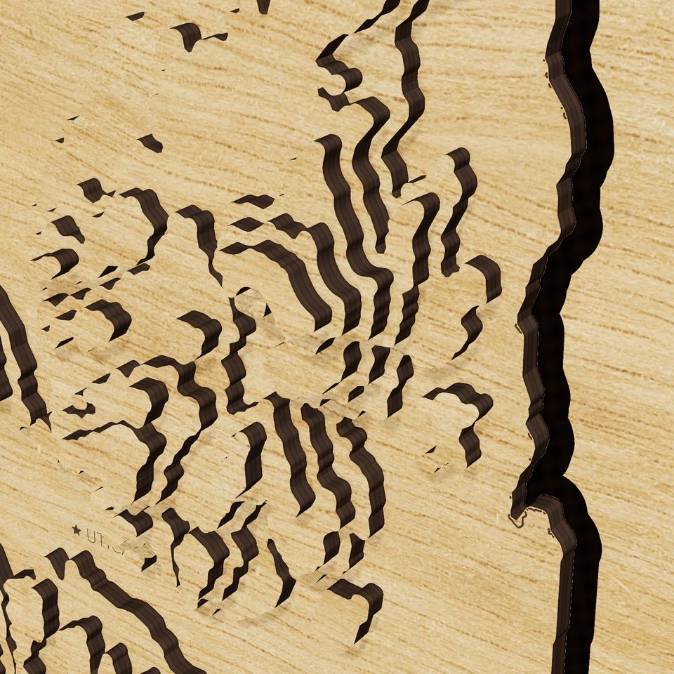 New York carved relief map, detail view