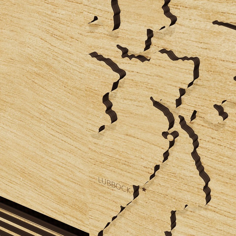 Texas carved relief map, detail view