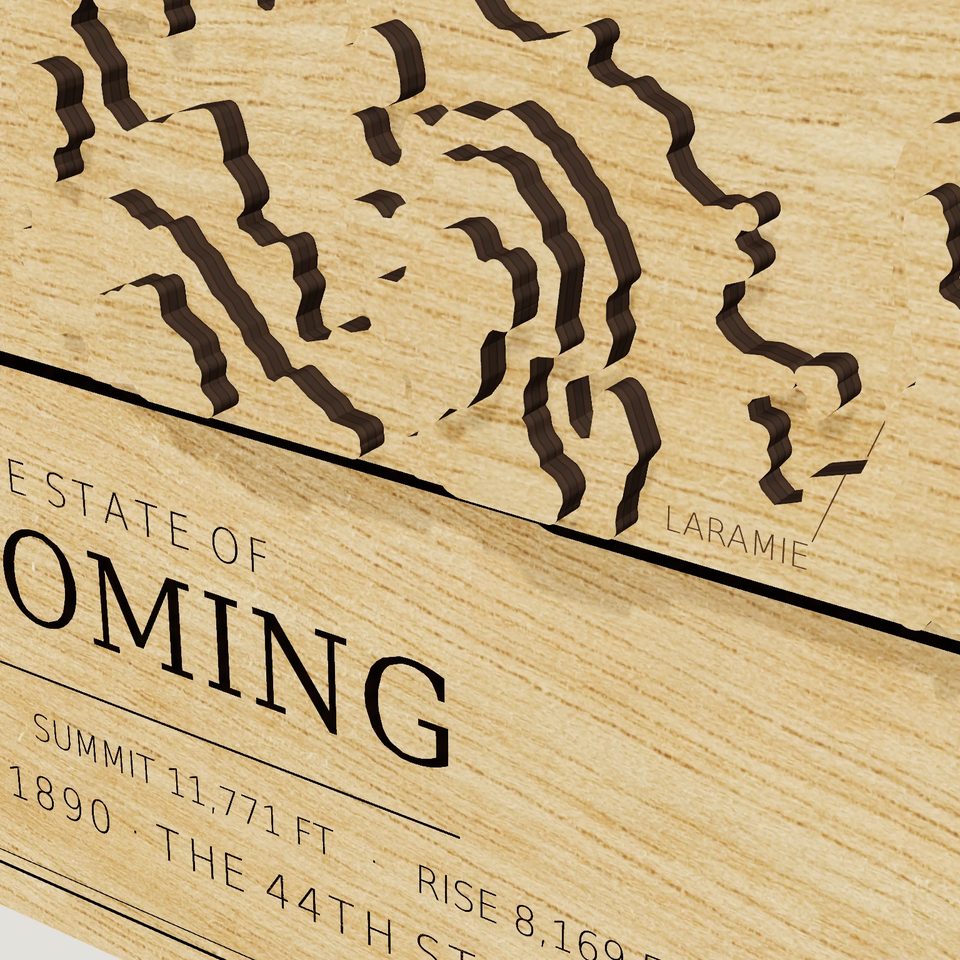 Wyoming carved relief map, detail view