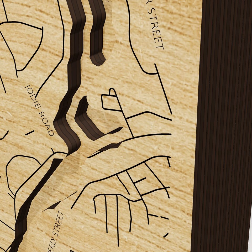 Stearns Reservoir 3D wood map, detail view