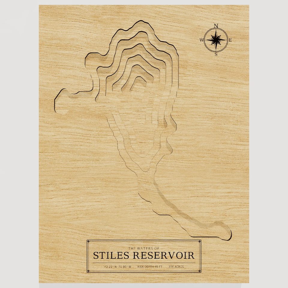 Stiles Reservoir 3D wood map, front view
