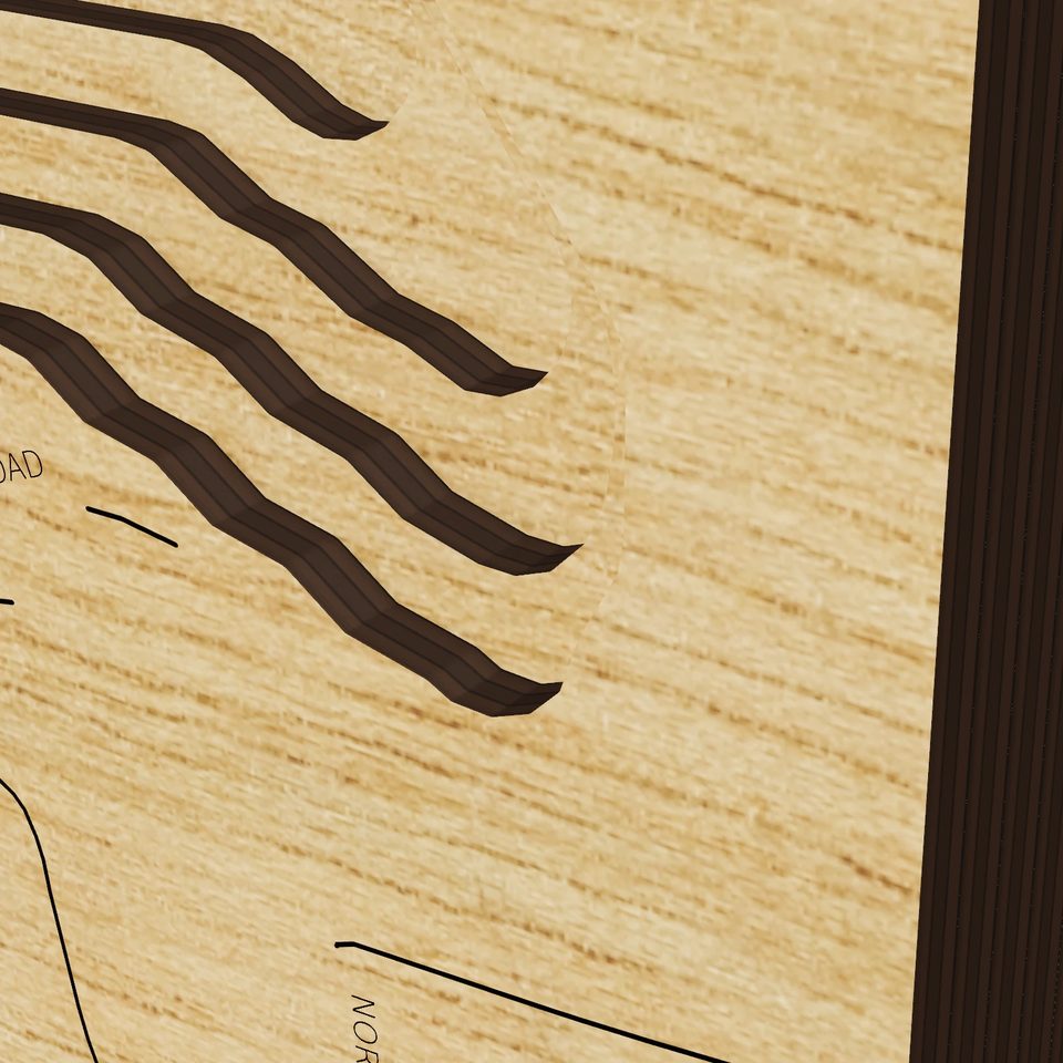 Stison Lake 3D wood map, detail view