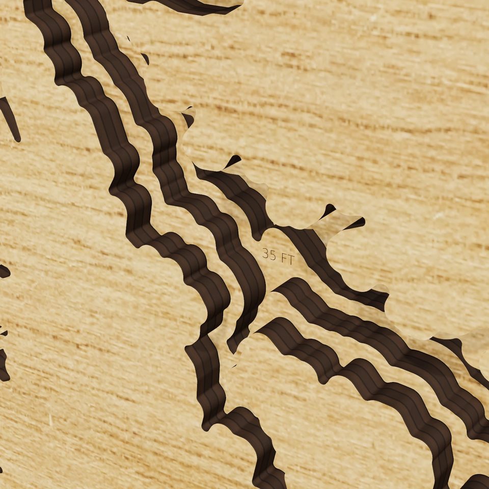 Stockton Lake 3D wood map, detail view