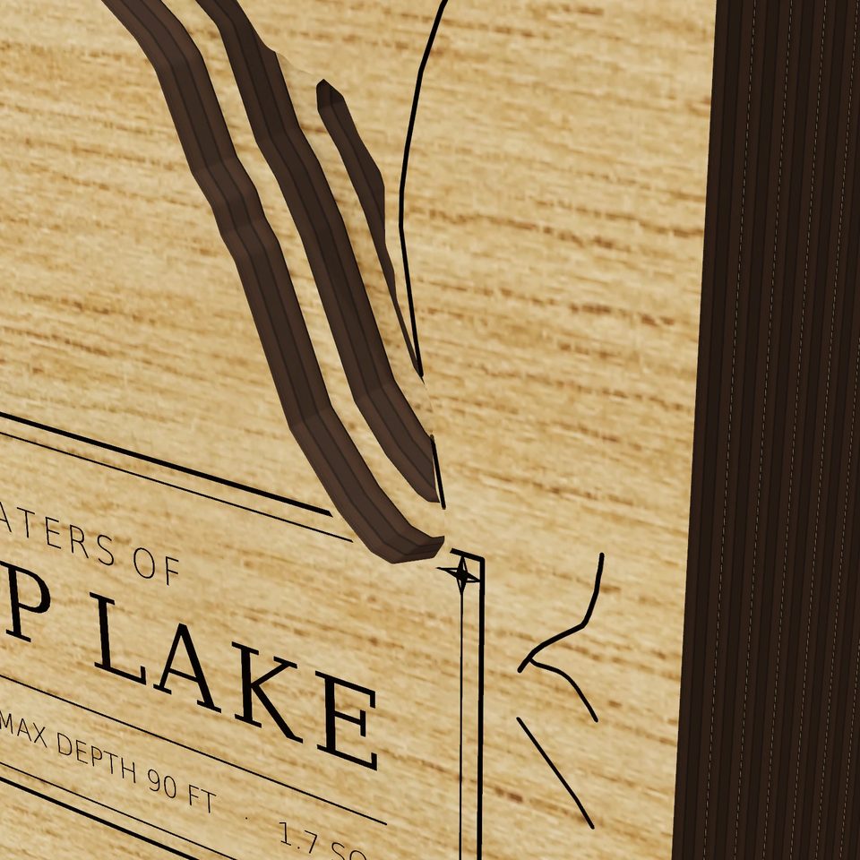 Stump Lake 3D wood map, detail view