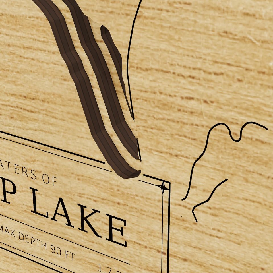 Stump Lake 3D wood map, detail view
