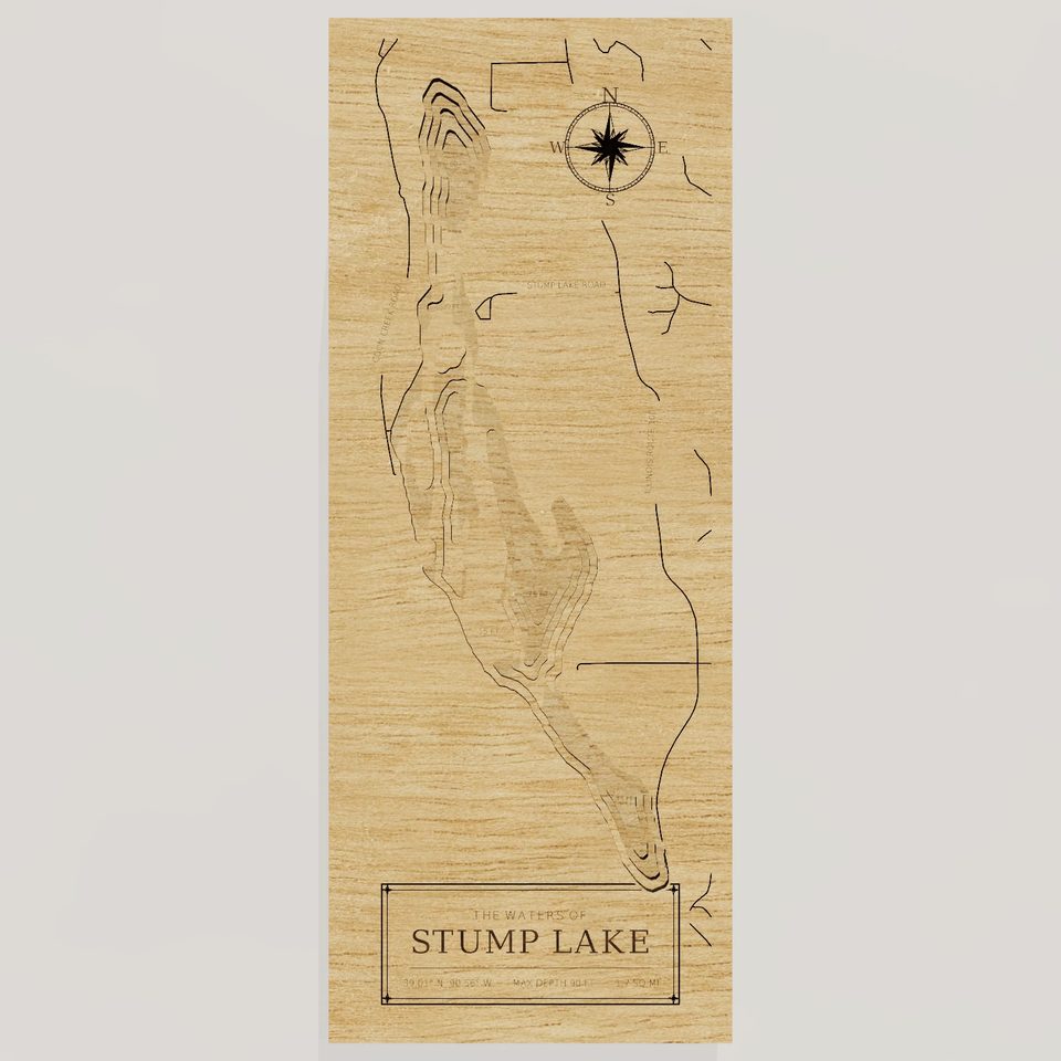 Stump Lake 3D wood map, front view