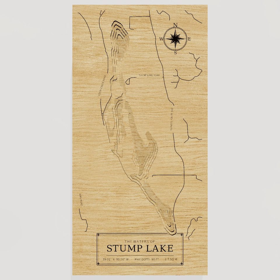 Stump Lake 3D wood map, front view