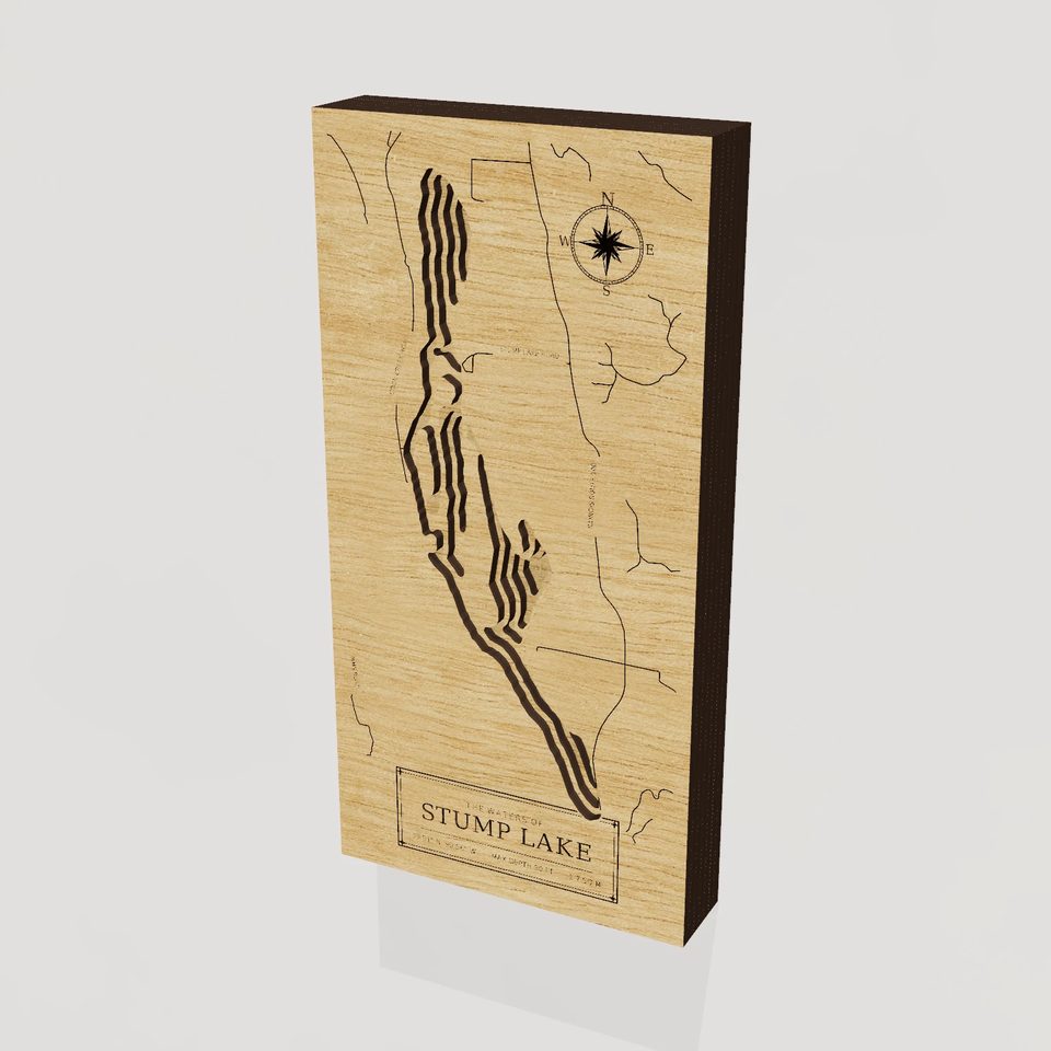 Stump Lake 3D wood map, hero view