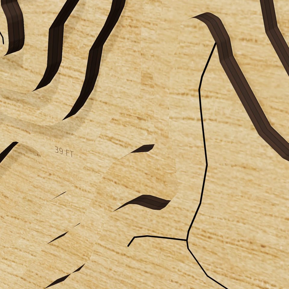 Sugar Lake 3D wood map, detail view