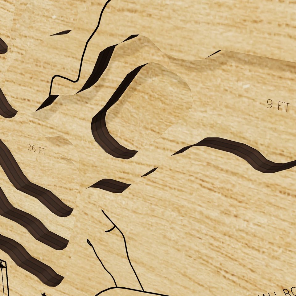Swains Lake 3D wood map, detail view