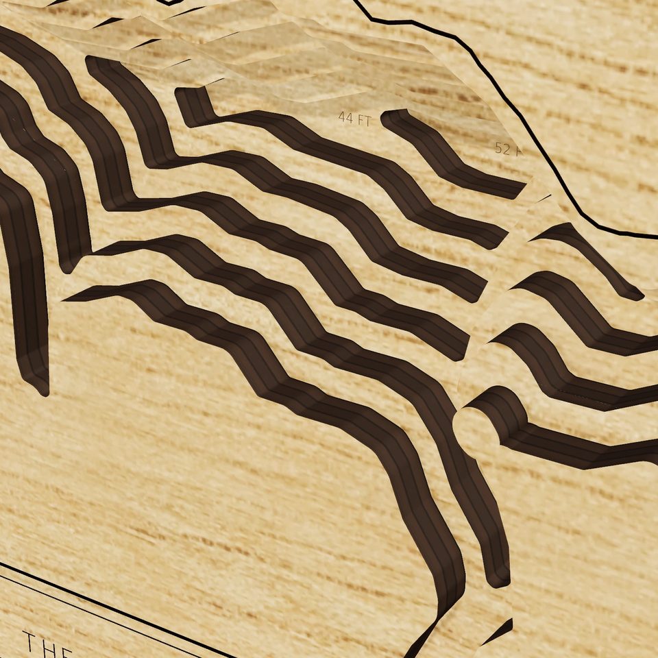 Swift Reservoir 3D wood map, detail view