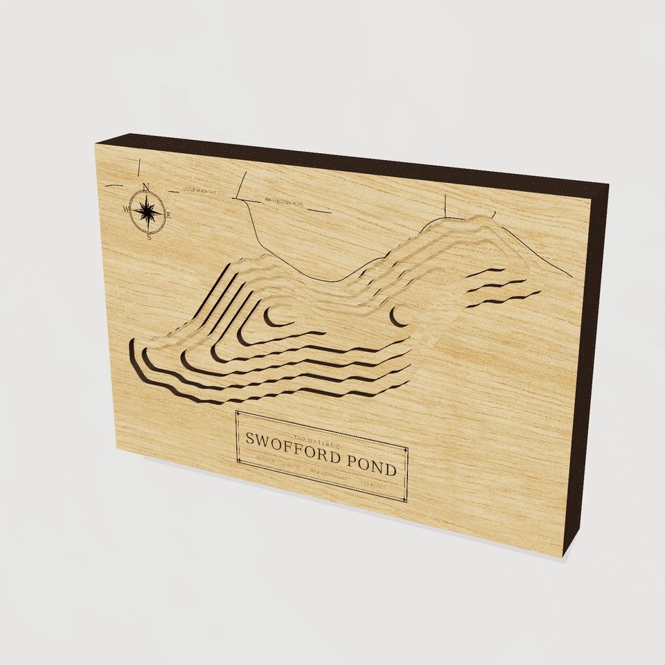 Swofford Pond 3D wood map, hero view