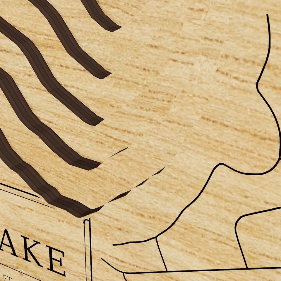 Sylvan Lake 3D wood map, detail view