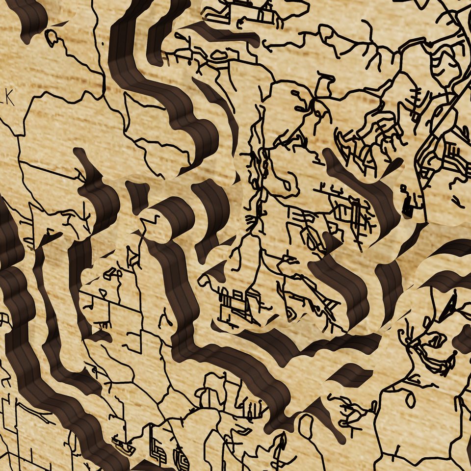 Table Rock Lake 3D wood map, detail view