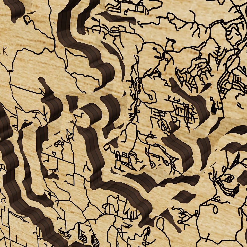 Table Rock Lake 3D wood map, detail view