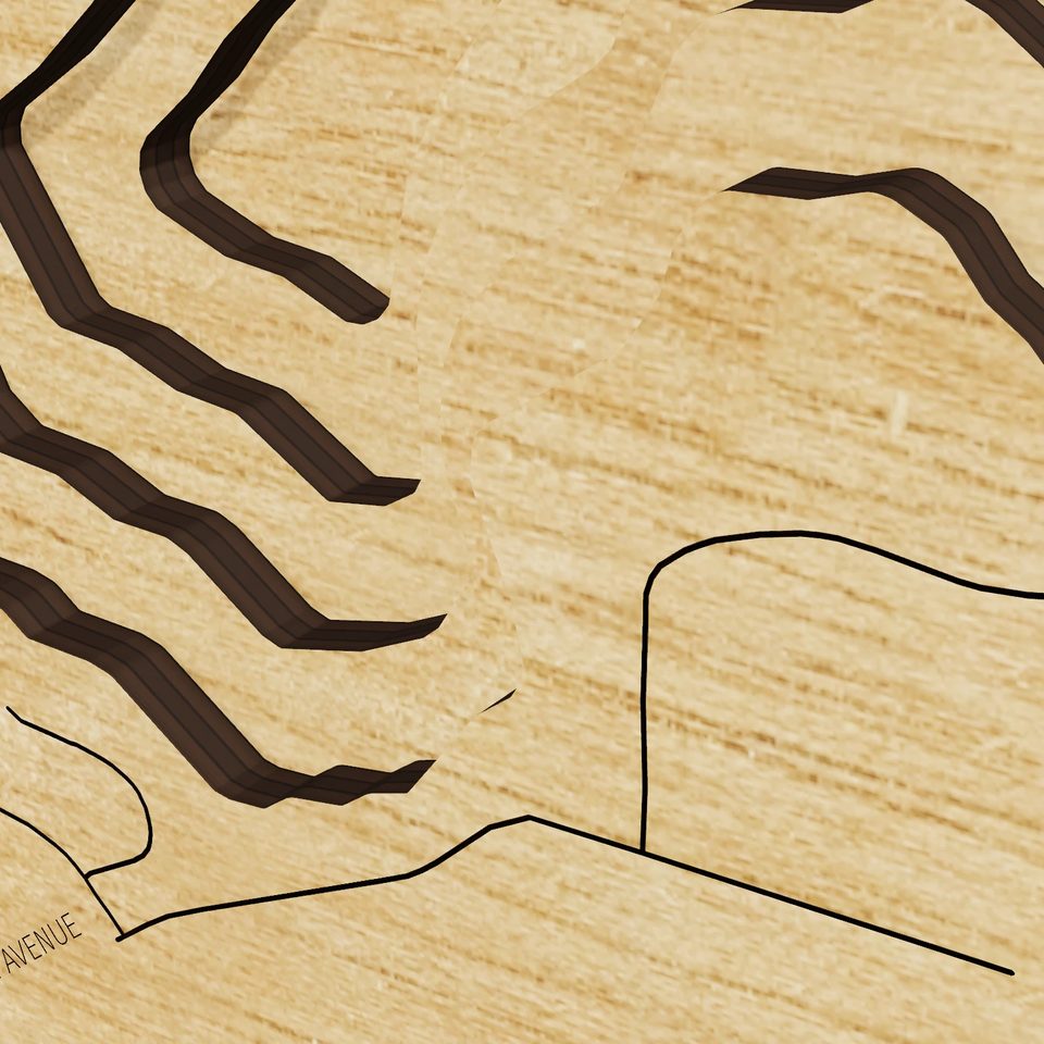Tainter Lake 3D wood map, detail view