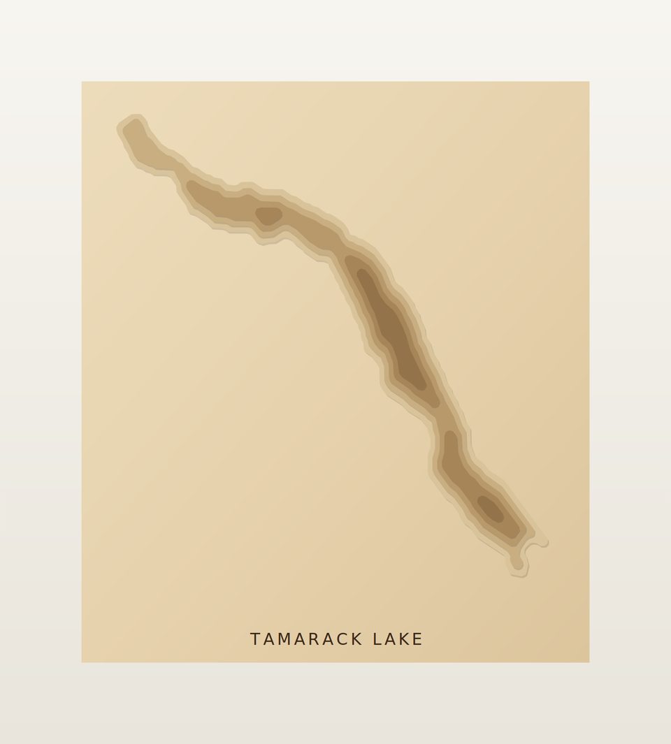 Tamarack Lake 3D wood map, preview view