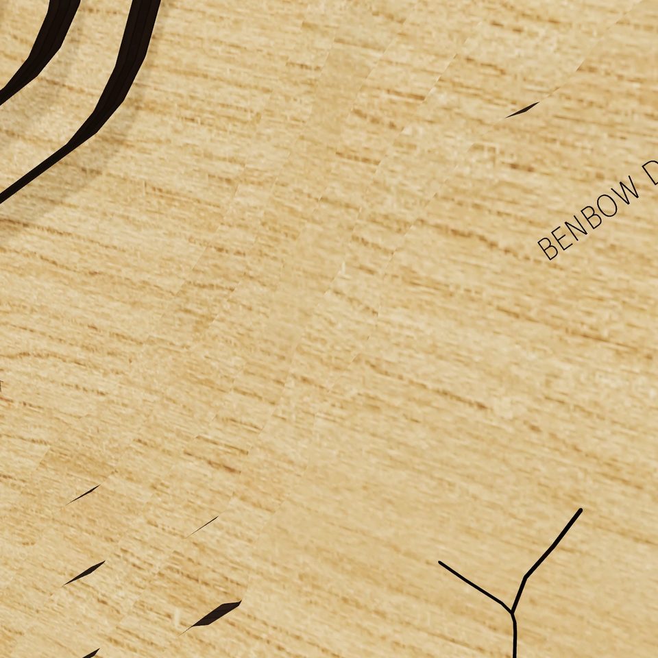 Tanwax Lake 3D wood map, detail view