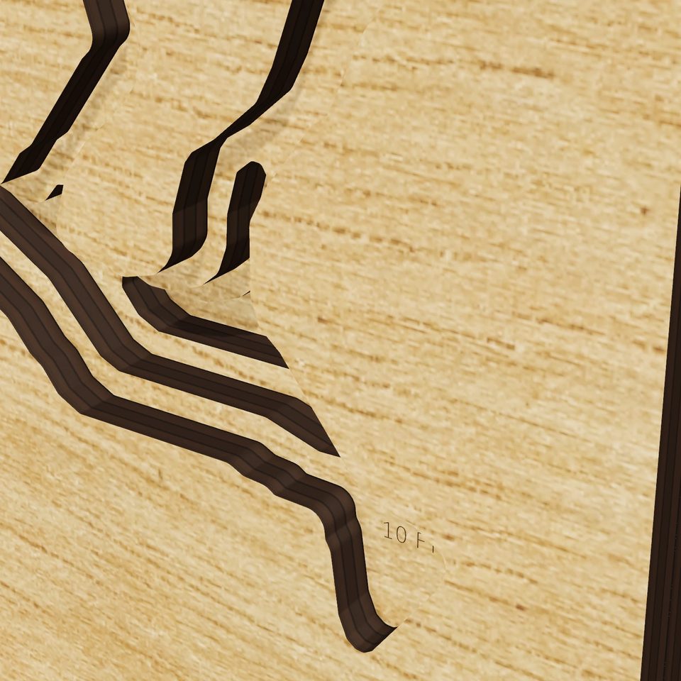 Tappan Lake 3D wood map, detail view