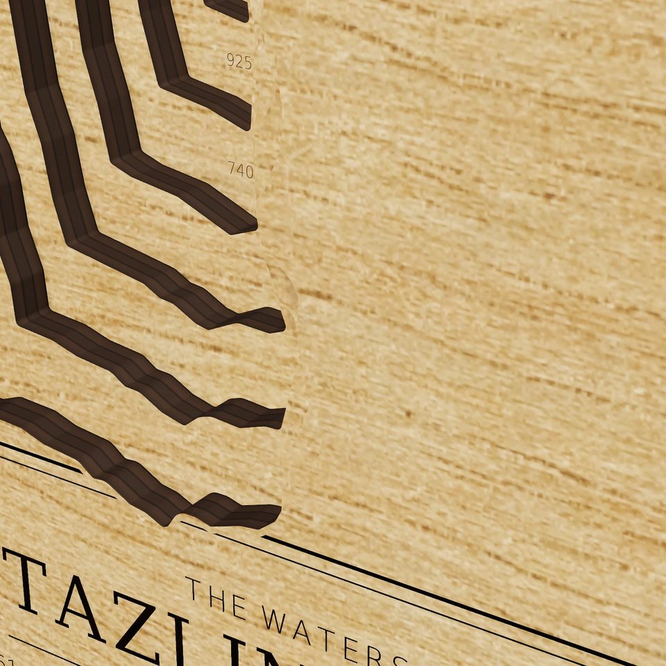 Tazlina Lake 3D wood map, detail view