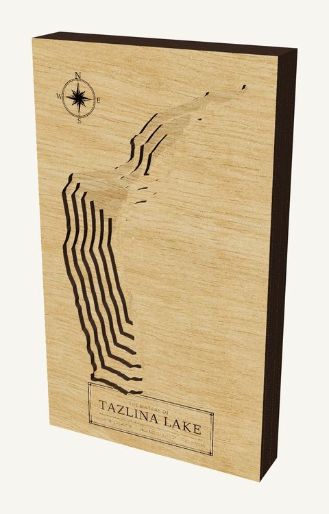 Tazlina Lake wood map