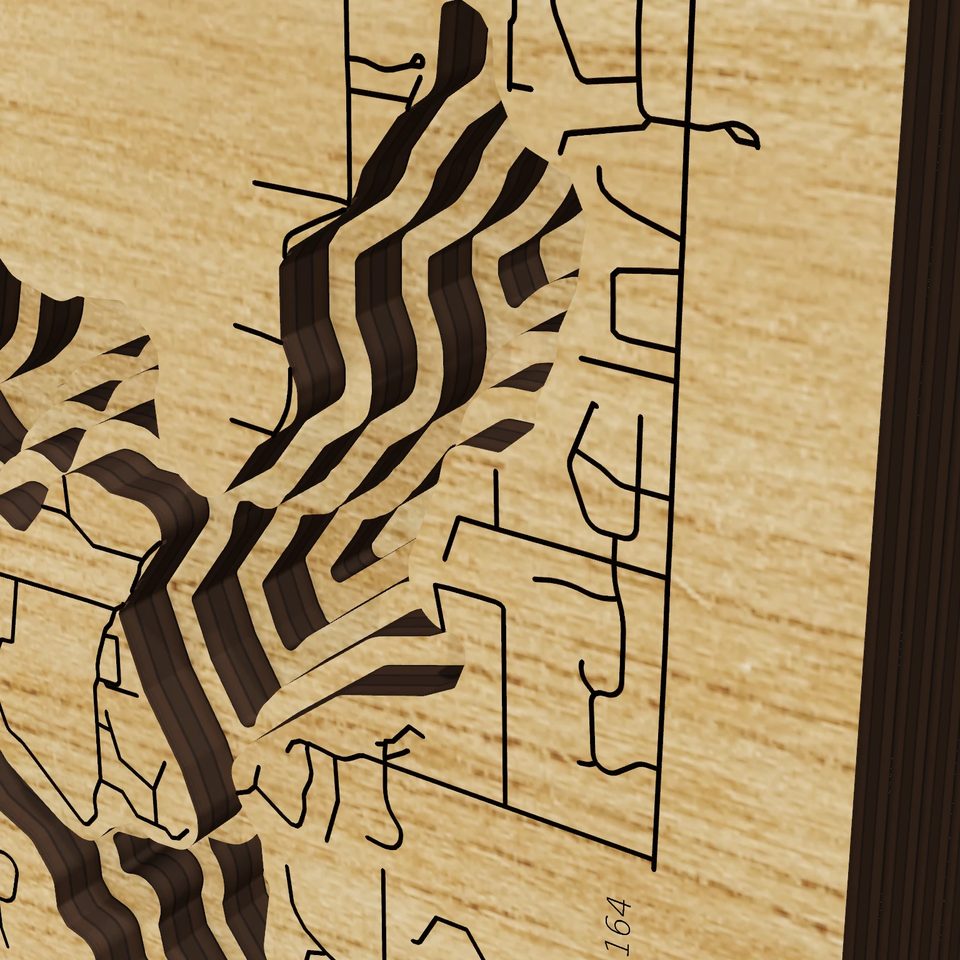 Tichigan Lake 3D wood map, detail view