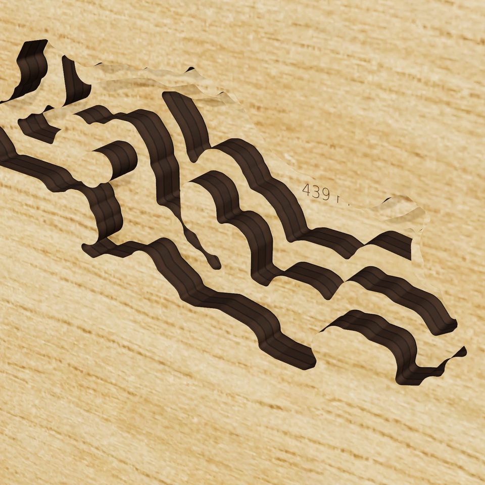 Tikchik Lake 3D wood map, detail view