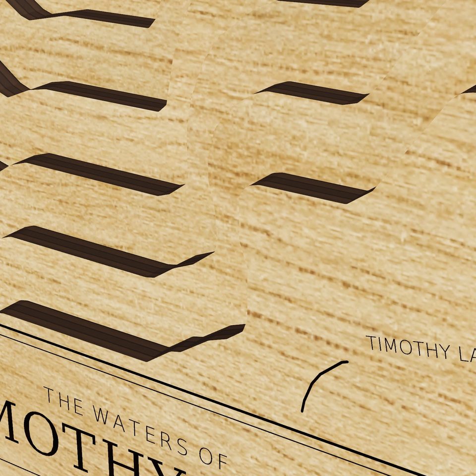 Timothy Lake 3D wood map, detail view