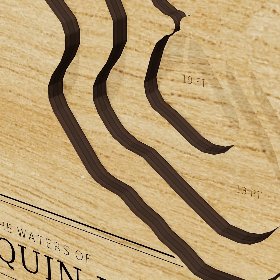 Tispaquin Pond 3D wood map, detail view