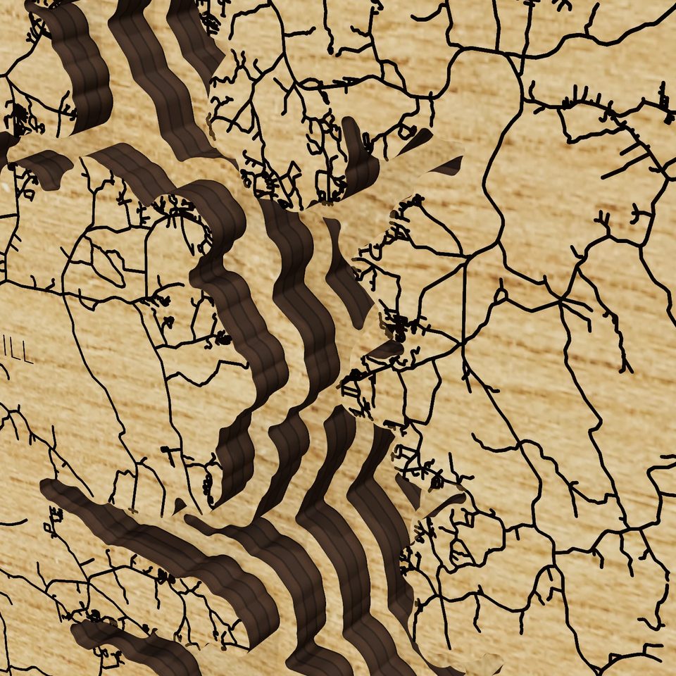 Toledo Bend Reservoir 3D wood map, detail view