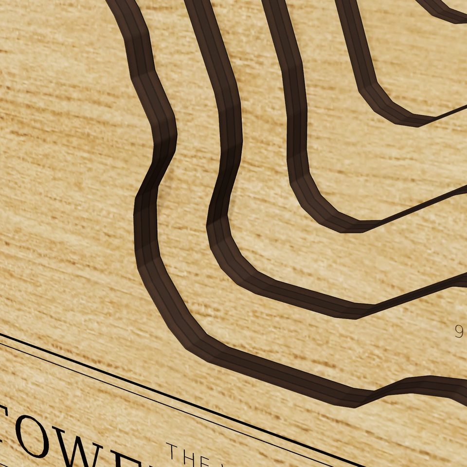 Tower Hill Pond 3D wood map, detail view