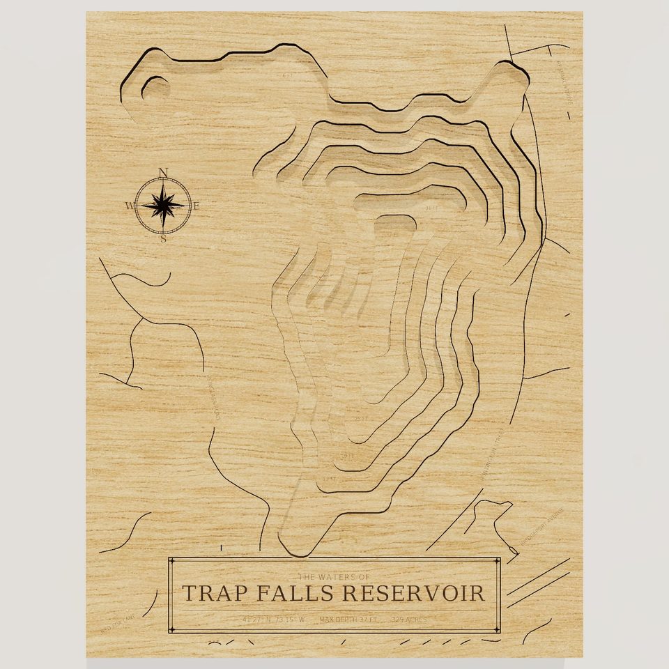 Trap Falls Reservoir 3D wood map, front view
