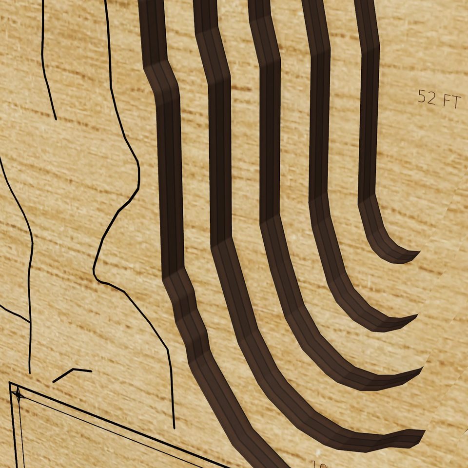 Trickey Pond 3D wood map, detail view