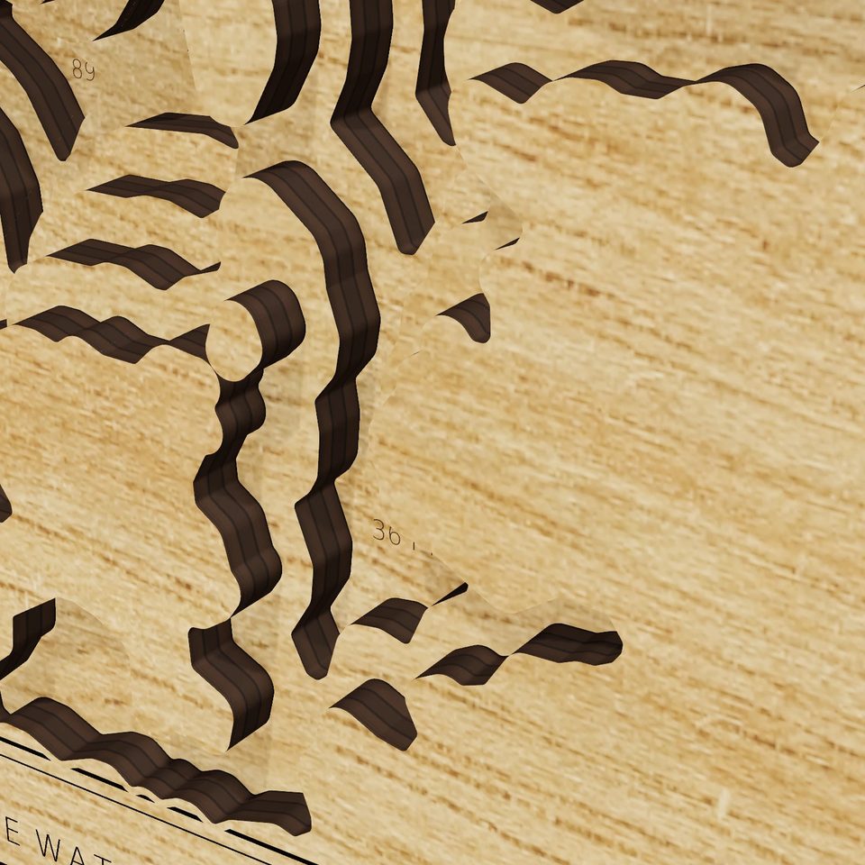 Trout Lake 3D wood map, detail view