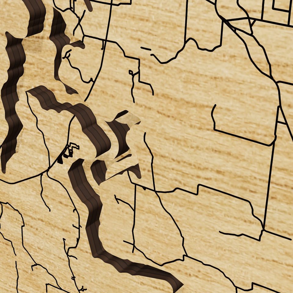 Truman Lake 3D wood map, detail view