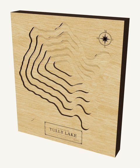 Tully Lake wood map