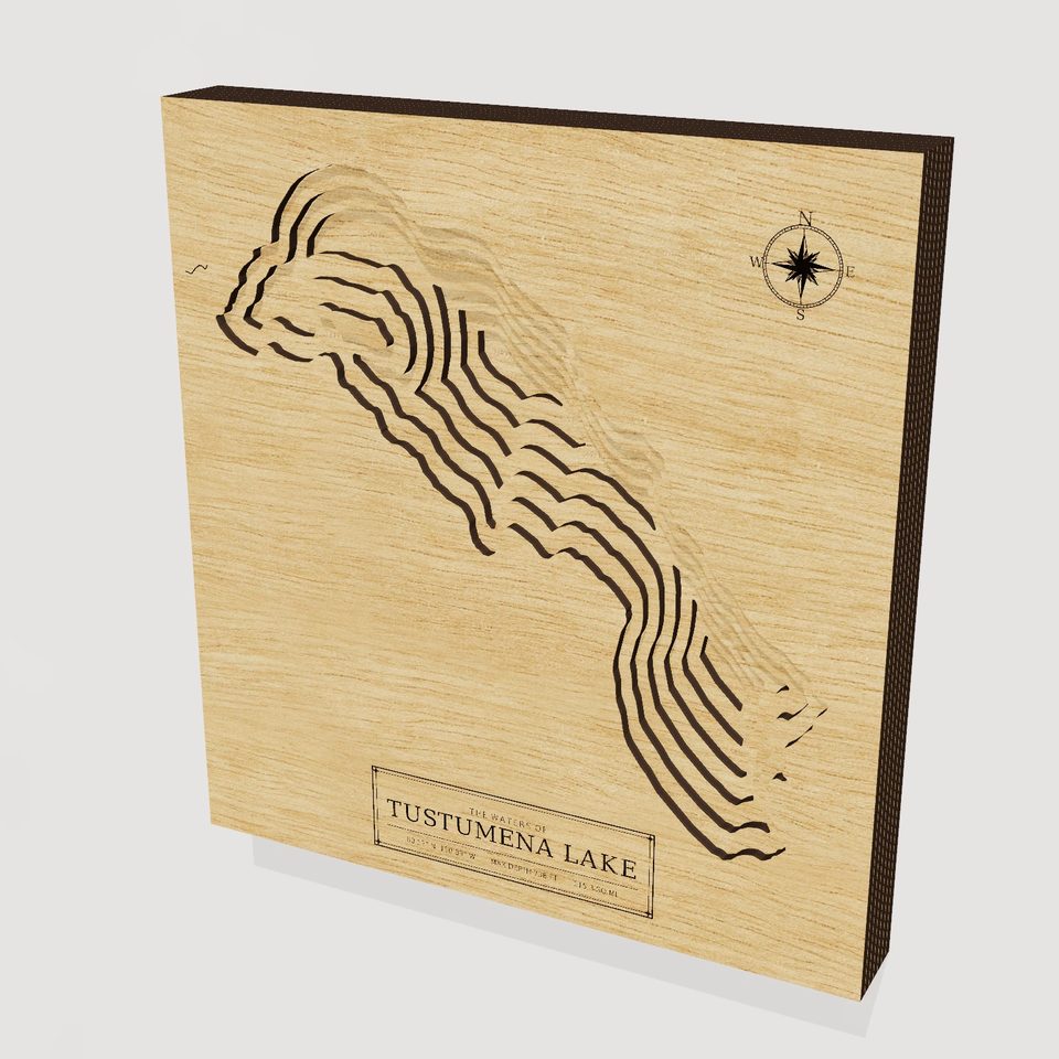 Tustumena Lake 3D wood map, hero view