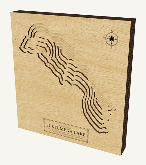 Tustumena Lake wood map
